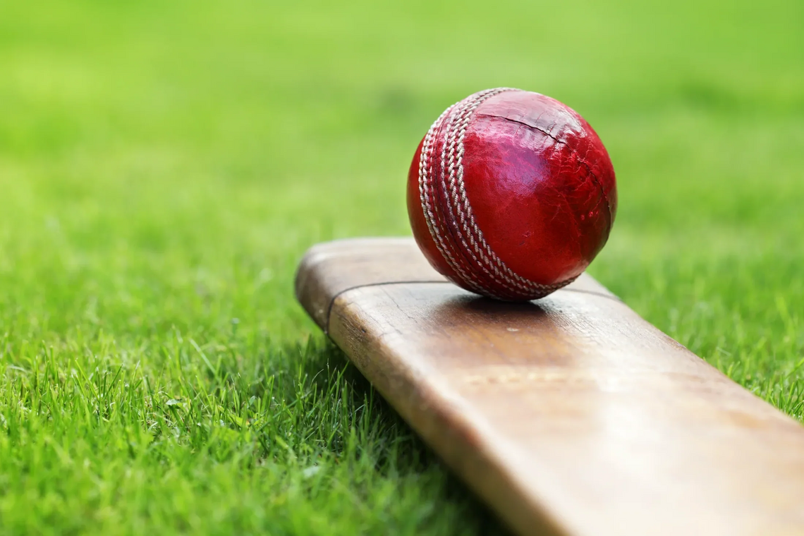 cricketbatgeneric