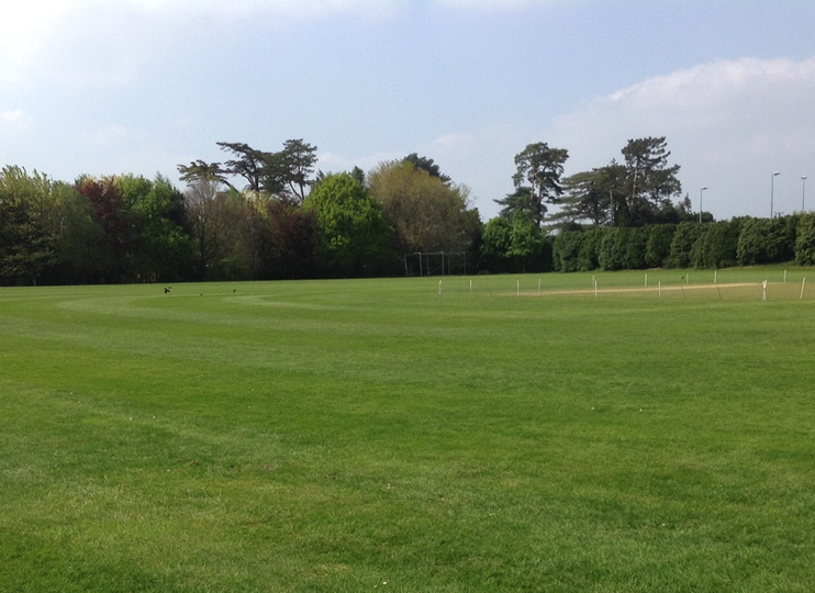 Field